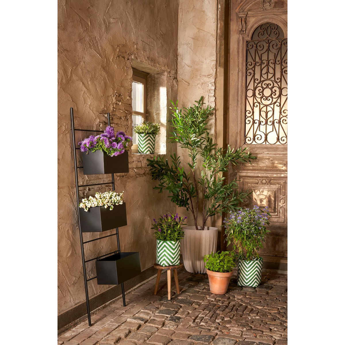 Groen witte plantenmand buiten