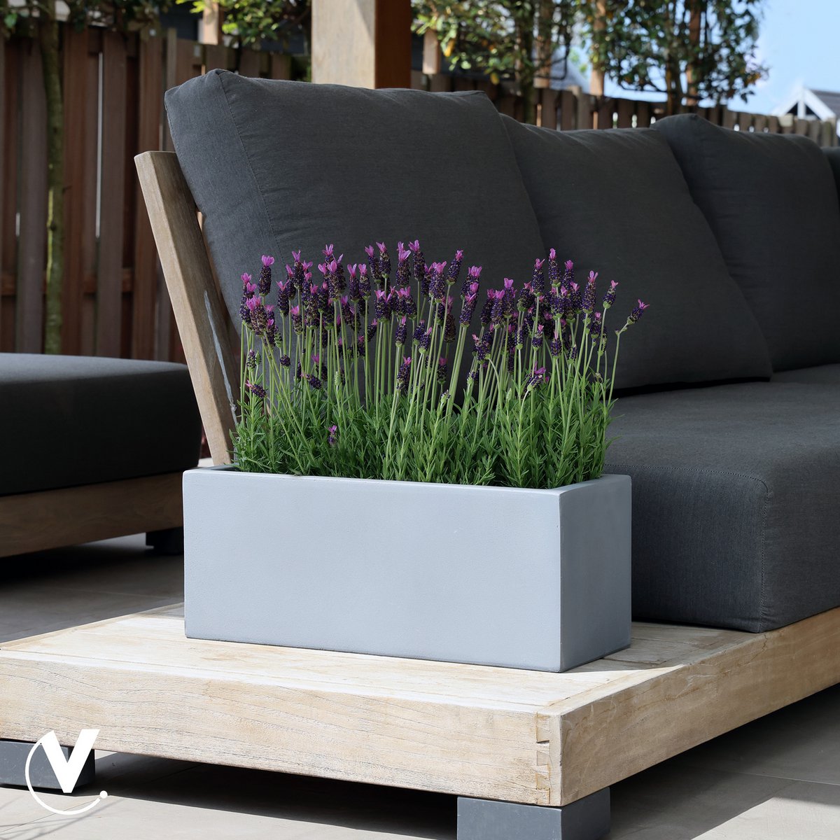smalle plantenbak met planten