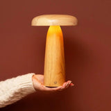 Houten tafellampje in iemands hand