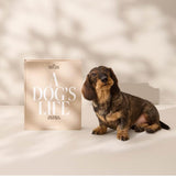 fotoalbum met hond