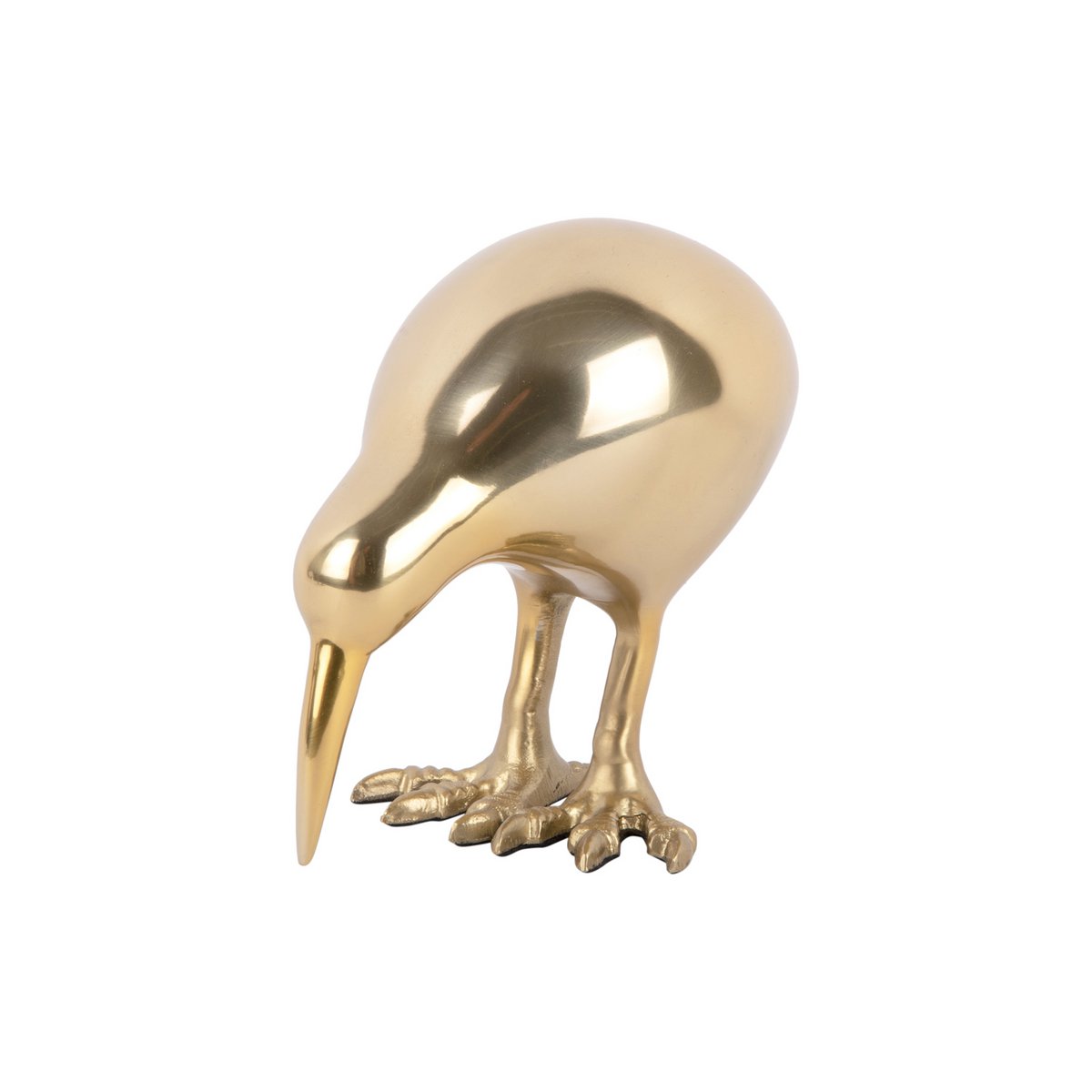 Vogel kiwi standbeeld