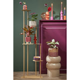 Plantenplateau beige met planten erop