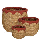 plantenmand rood
