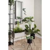 Smalle plantenbak hoog met plant