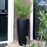 Hoge smalle bloempot buiten
