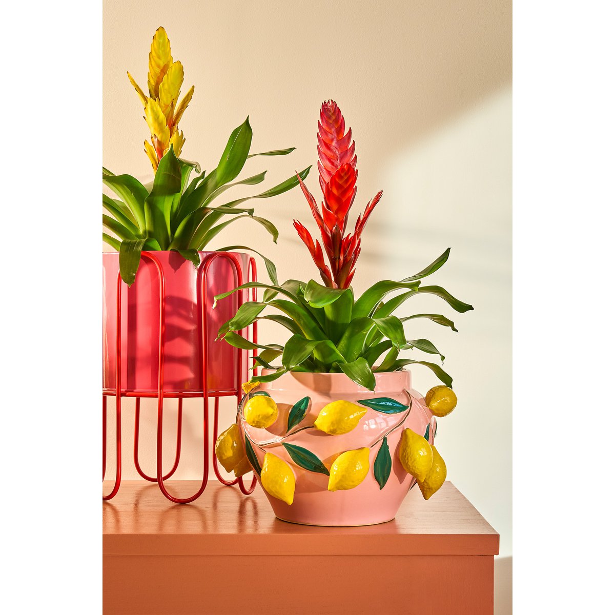 Bloempot met citroenen op kast