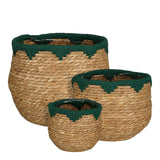 Plantenmand set van 3