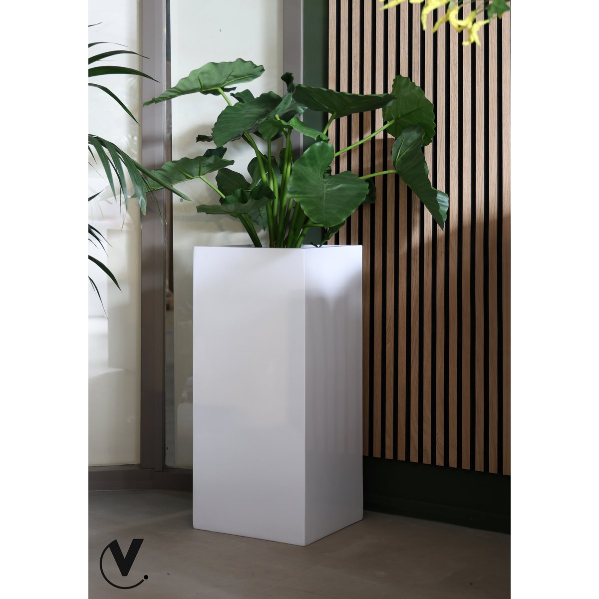 Grote witte plantenbak met plant