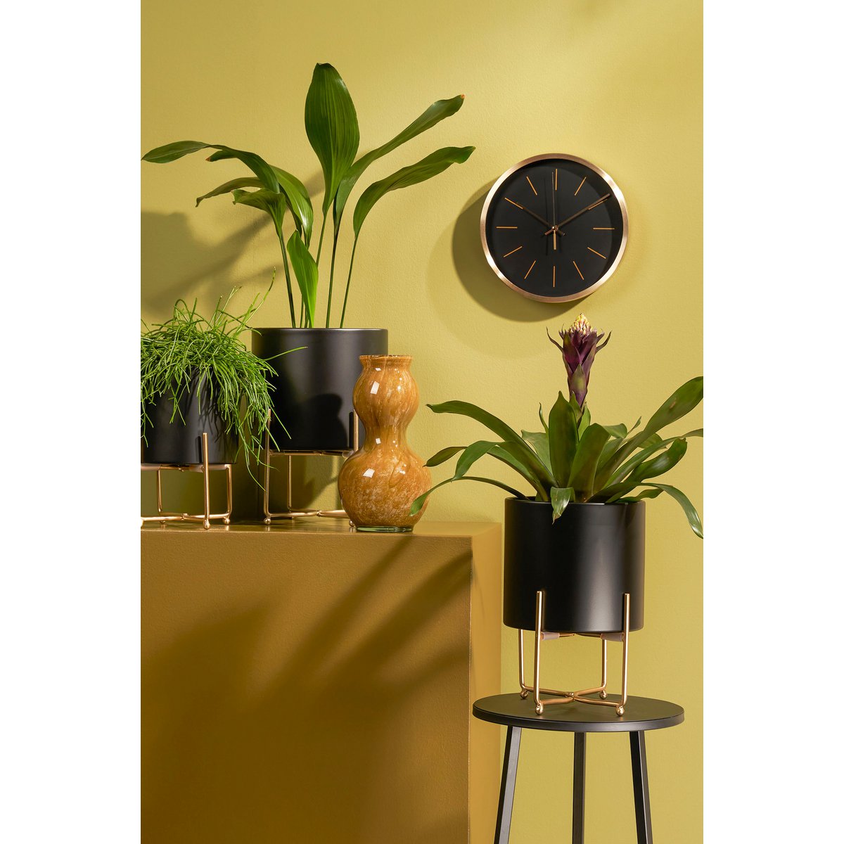 Bloempotten set van 3 et planten