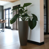 Bloembak vensterbank met plant