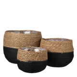 Plantenmand zwart riet