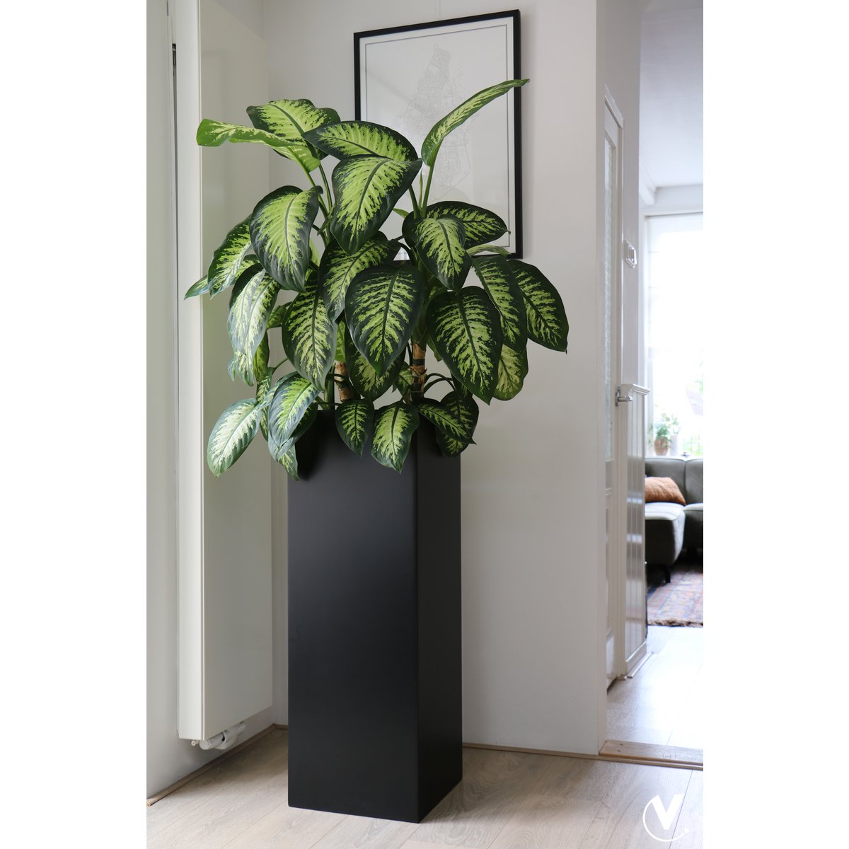 Grote plantenbak met plant