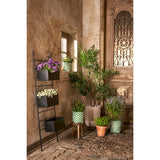 Groen witte plantenmand buiten