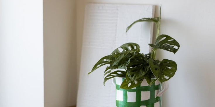 Calabria bloempot oito atelier met plant