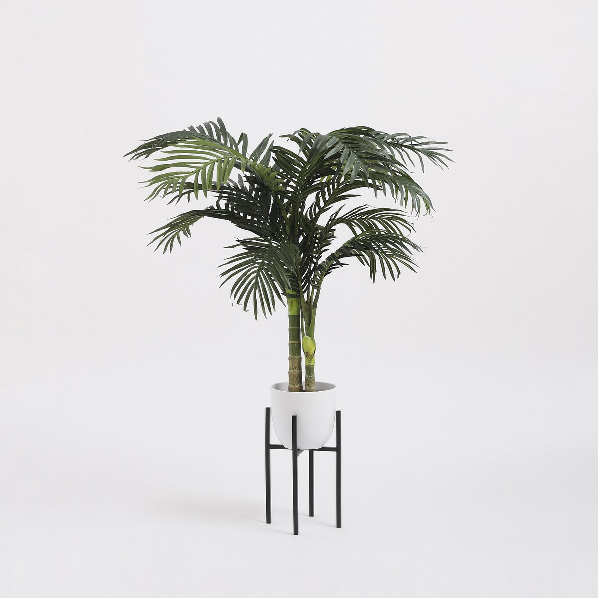 Plantenstandaard zwart met plant