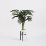 Plantenstandaard zwart met plant