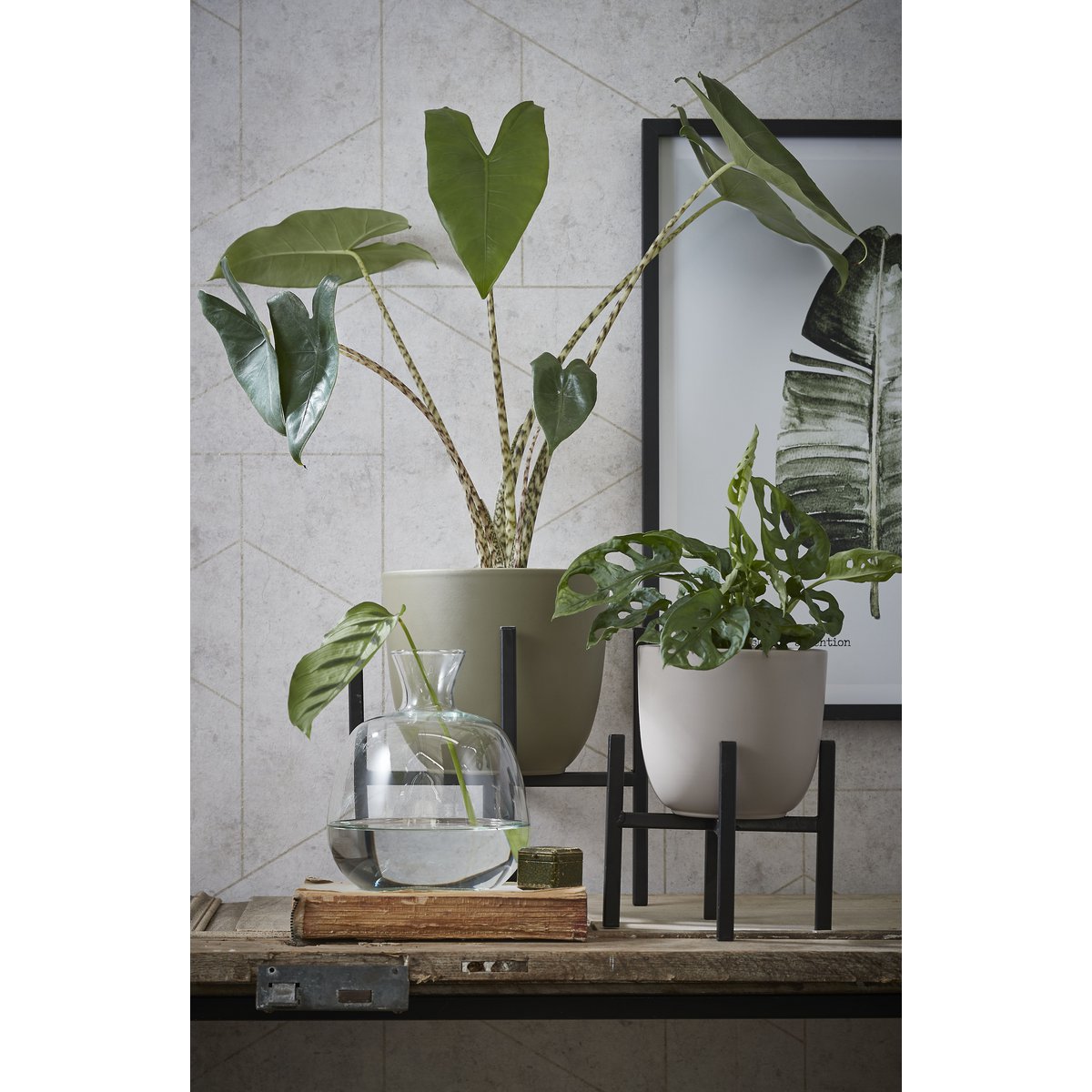 Plantenstandaard mica decorations op kast