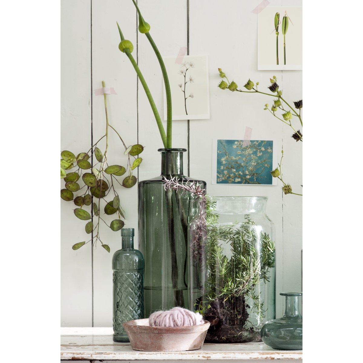 Groene fles vaas met plant