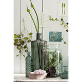Groene fles vaas met plant