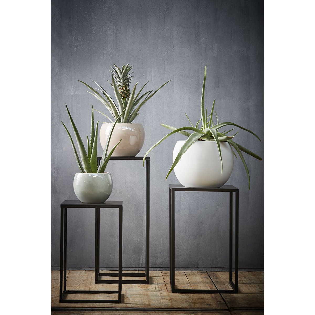 Grote plantentafels met bloempot