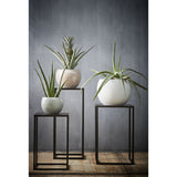 Grote plantentafels met bloempot