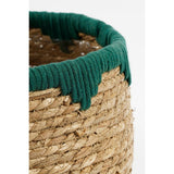 Plantenmand set van 3 groen
