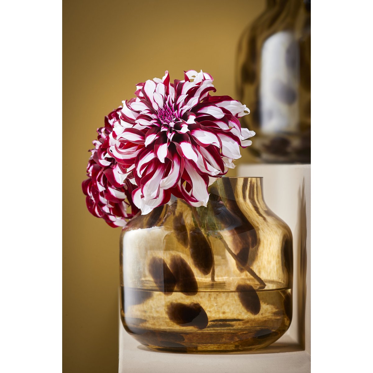 Vaas met zwarte stippen met bloem