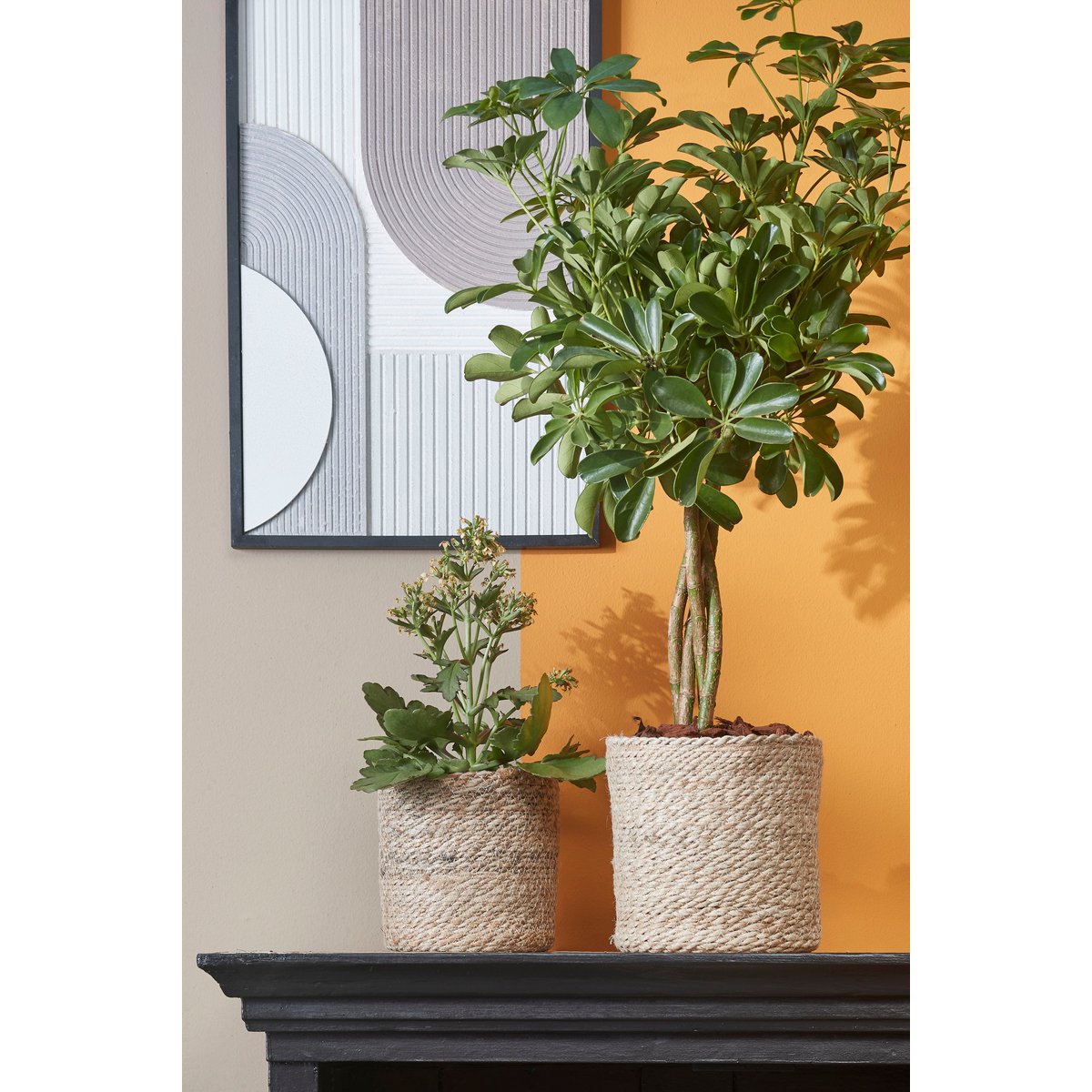Atlantic plantenmand mica decorations op kast