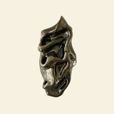 Metamorphomies wandvaas groot