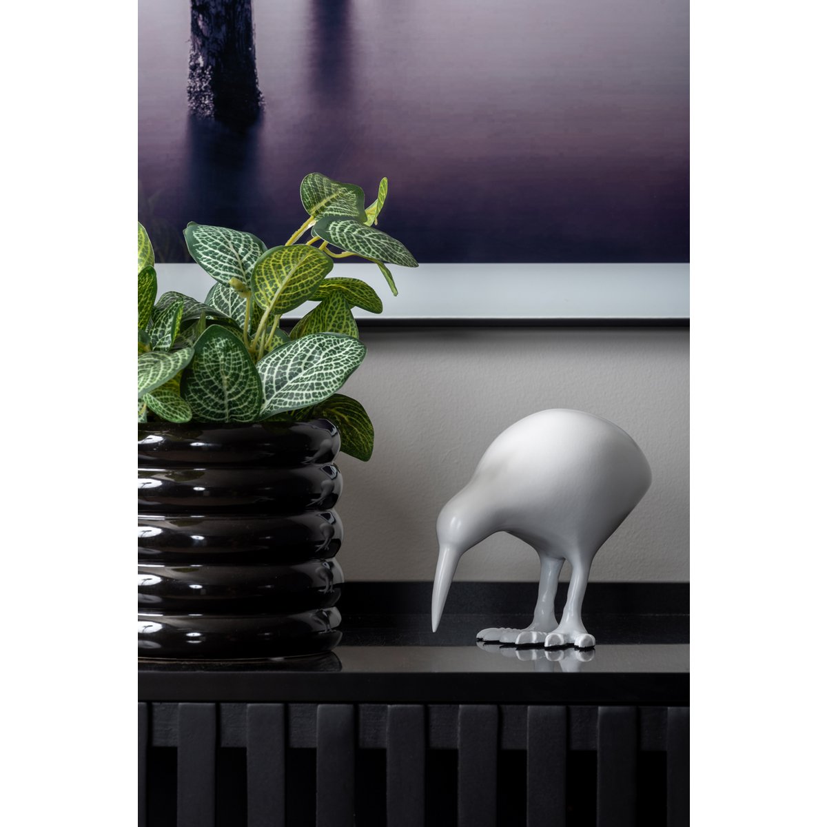 Standbeeld kiwi vogel wit