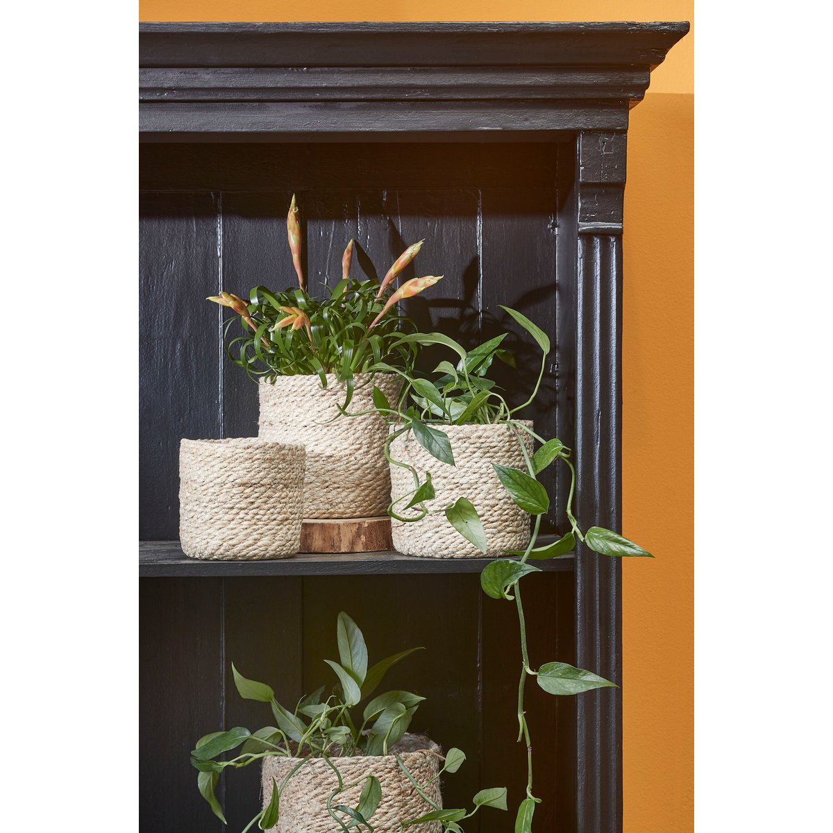 Rieten plantenmanden in kast