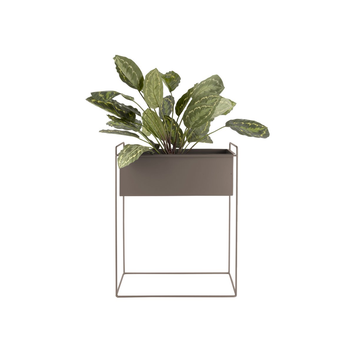 Smalle plantenbak set met plant