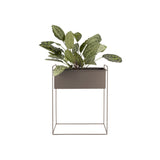 Smalle plantenbak set met plant