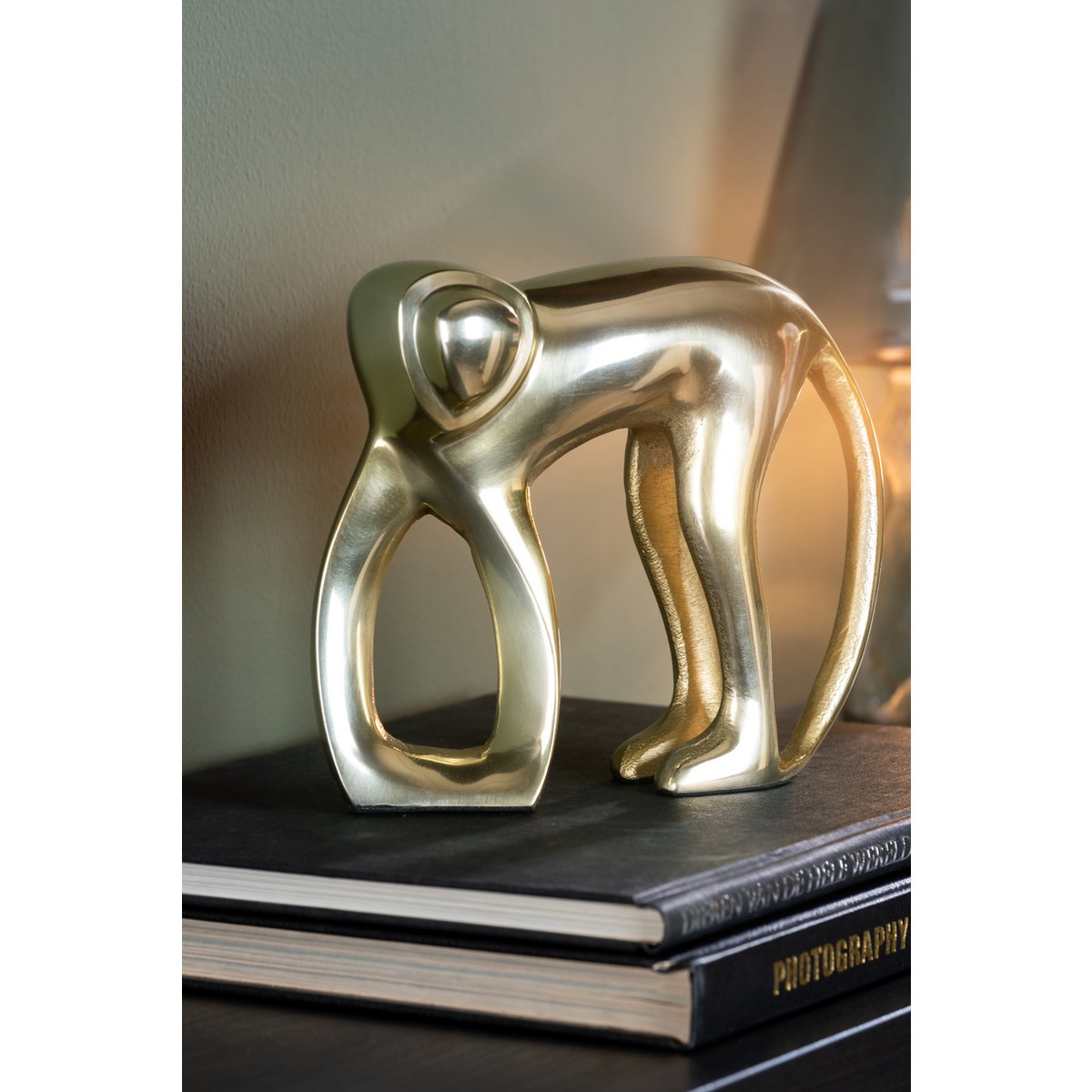 Standbeeld Aap goud op boek