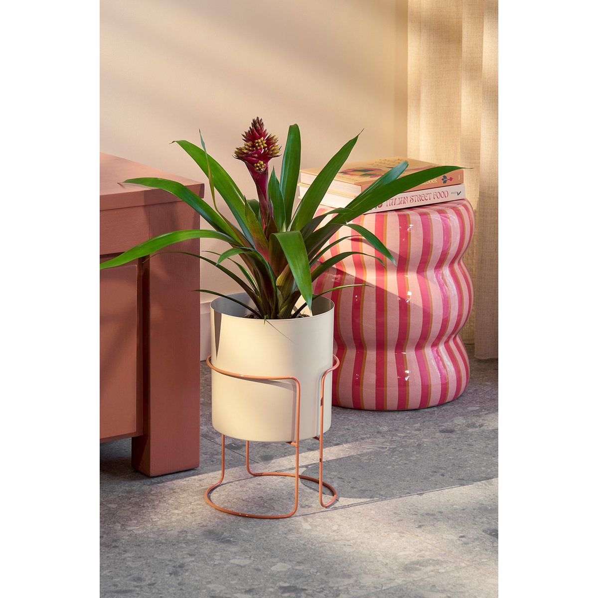Bloempot op roze standaard met plant