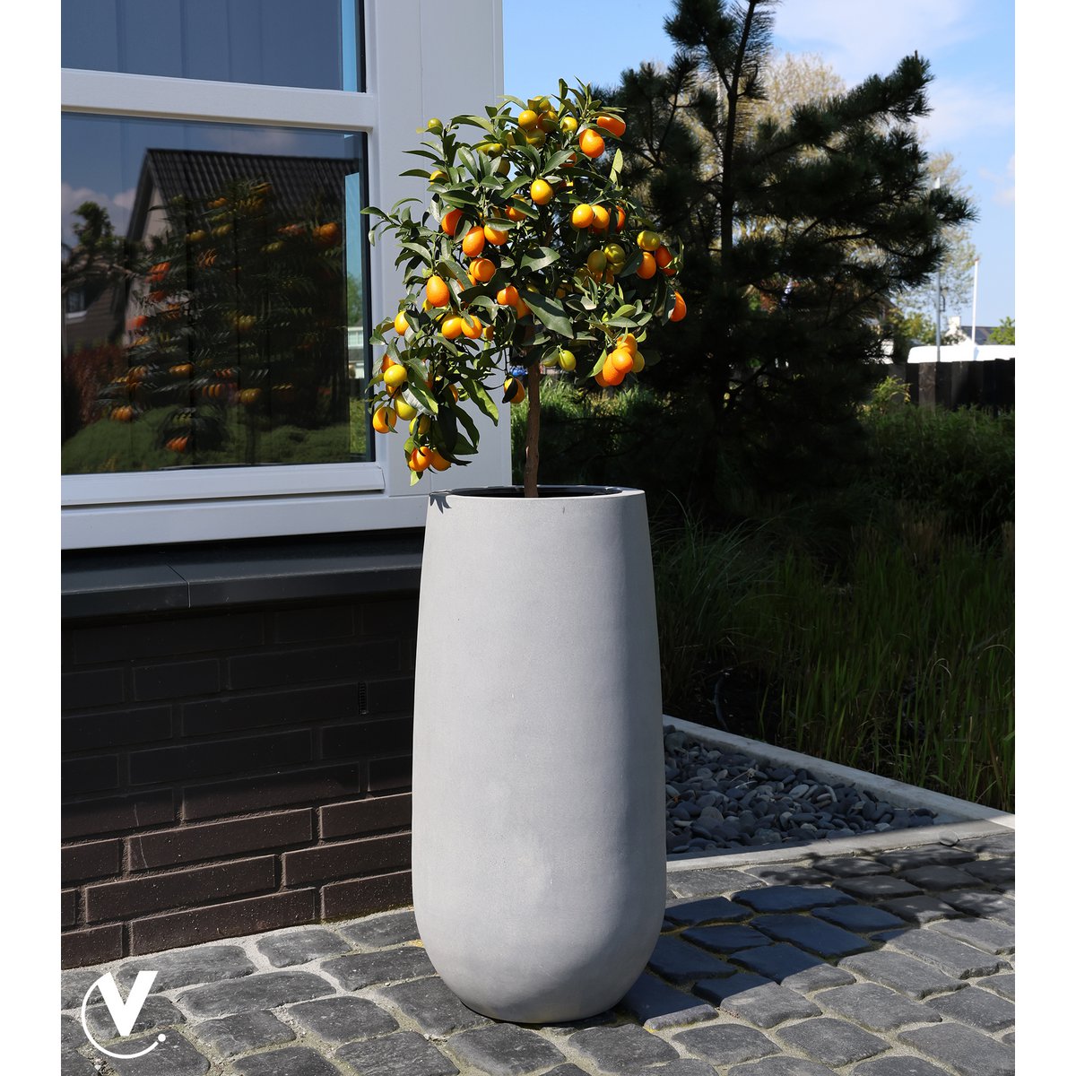 polyester plantenpot met plant