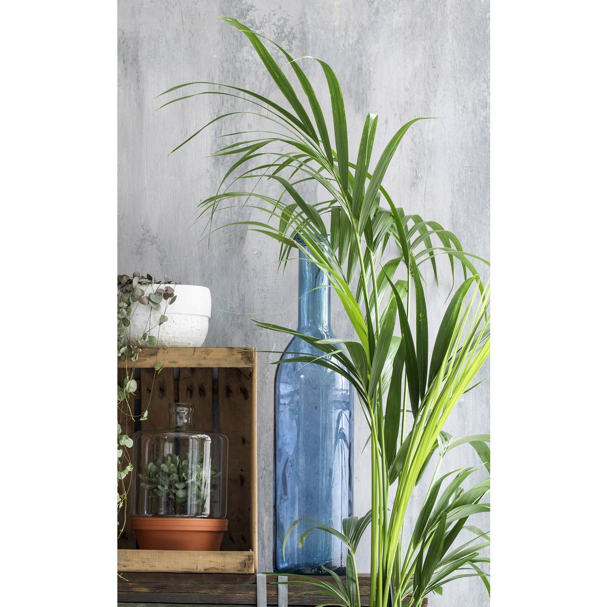 Rojan fles vaas mica decorations op tafel